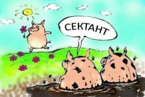 Британец купил мини-пига, но свинка выросла совсем не мини