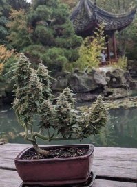 Фотоподборка