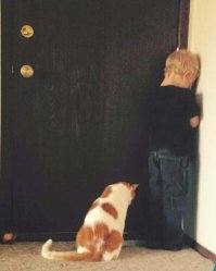 Фотоподборка со всякими зверушками