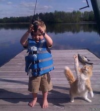 Фотоподборка со всякими зверушками