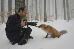 Фотоподборка со всякими зверушками