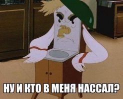 О чем пишут женщины в женских форумах