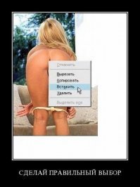 Алиса как вставить девушке