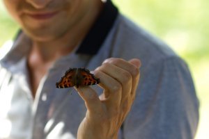 почему то выглядит как видео монтаж рисованный
моя фотосессия с бабочкой выглядит лучше