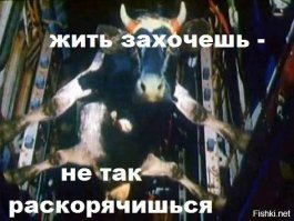 Девушки с хорошей растяжкой
