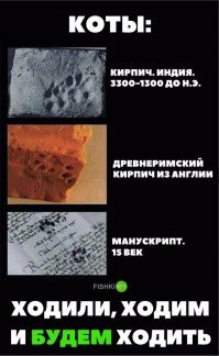 Фотоподборка