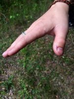 так в какую руку кусала-то?