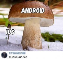 Безжизненная херня))