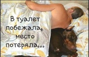 "Комменты - улет!": 25 убойных постов с достойными комментариями