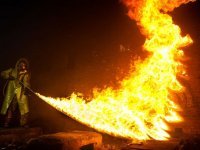 Тут нужна санобработка!