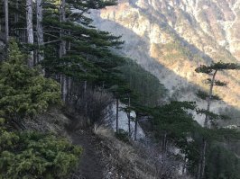 Да, в основном это протоптанные дорожки. Например, вот Боткинская тропа в Крыму.