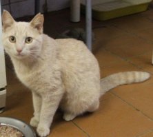 Прикольные и смешные картинки