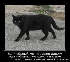 Очень суеверные люди, которые способны насмешить любого своими выходками