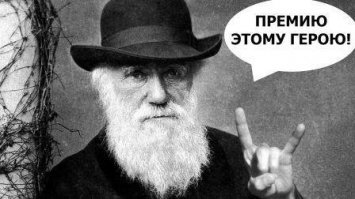 Идиот, который знает толк в развлечениях