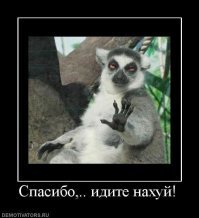 О чем пишут женщины в женских форумах