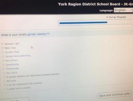 Тем временем в цивилизованных странах. 
На картинке регистрация РЕБЁНКА в ДЕТСКИЙ САД.
Это 3-5  лет