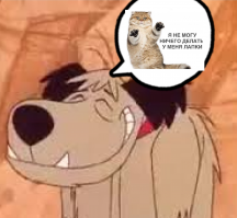 Прикольные и смешные картинки