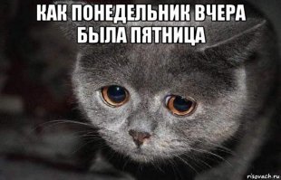 Ждём пятницу )))