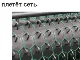 Интересно, кого ловить этой сетью?