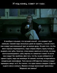 Скрины из социальных сетей