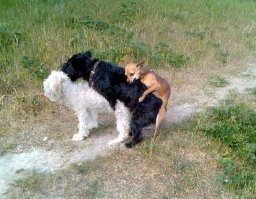 «Черепахи очень громко спариваются. Очень» и другие откровения работницы зоопарка о животных