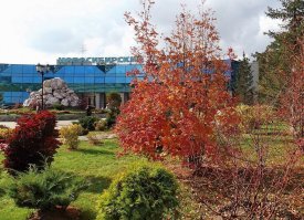 Сама из Новосибирска.Здесь конкурс самых жестких фото???А может бывает не так все плохо?