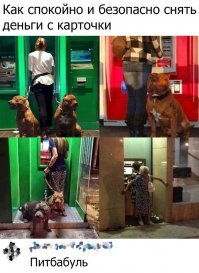 Когда банкомат начнёт отсчитывать деньги выпустить кошку перед ними.

Бабульку тоже касается...