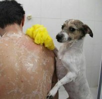 Был бы у меня такой.... кот...,ой, или пёс, я может и не женился бы никогда