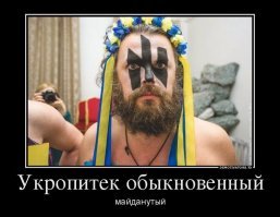 Ты из которых? Дай угадаю