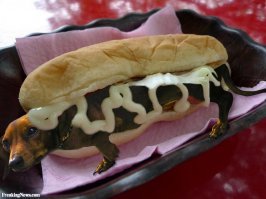 Да тут без вариантов, карачун блошиному питомнику.