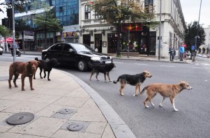 Нет проблем, смотри: