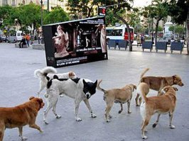 Нет проблем, смотри: