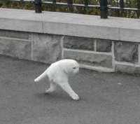 -Слышь, я те там поназаменяю!