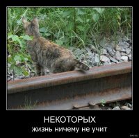 Усатые железнодорожники