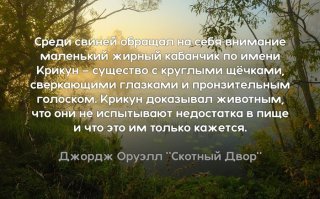 Владимир Соловьев попал в Книгу рекордов Гиннесса