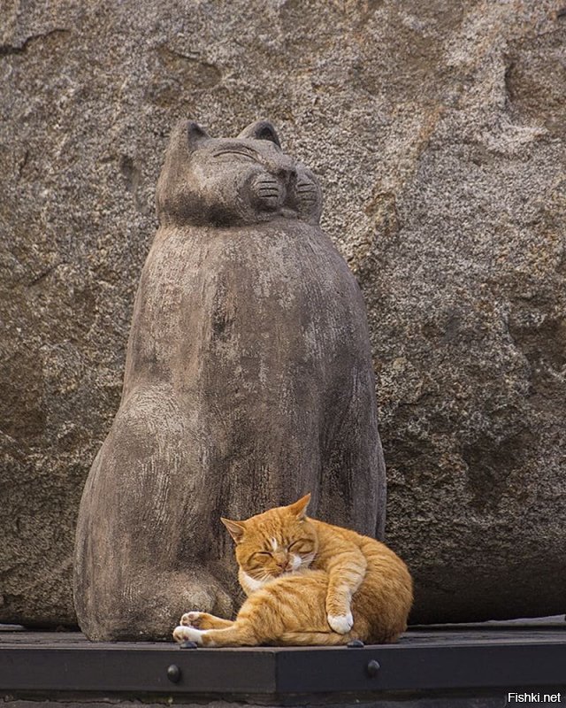 А у нас есть Музей кошек, Котофейня, котошеф и вообще Зеленоградск-город котов. Вот! ;) котов в разных малых архитектурных формах на каждом шагу, а уж живых и того больше. Вон на днях из той Японии гонца присылали. Так что мы и без храма отлично справляемся.)))