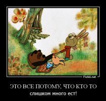 Хозяйка спасла кошку, пожертвовав вазой