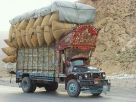 Все возят. В Пакистане не разукрашенный грузовик или автобус не встретишь. Это традиция.
