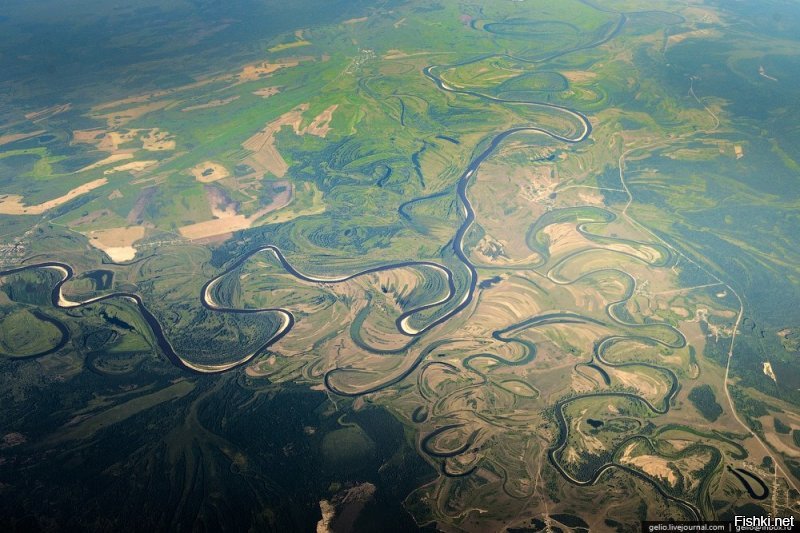 Не похоже на русло реки. У рек плавные извивы, скругления русел, а это больше смахивает на тектонические трещины в коре марса. 
Фото 1 - русло реки. 
Фото 2 - разлом в Африке.