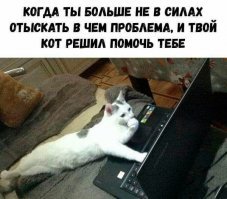 15 железобетонных аргументов от людей, у которых большие проблемы с логикой