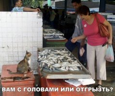 15 железобетонных аргументов от людей, у которых большие проблемы с логикой