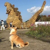 Динозавры среди нас