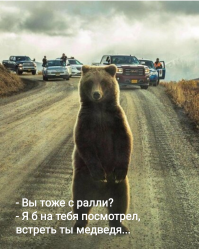 Свежая коллекция фотографий со всего мира за 23.10.2019  