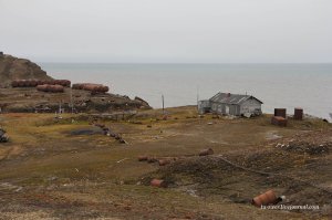 Что-то странная мечта:)