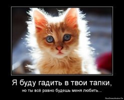 Прикольные и смешные картинки