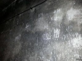 Парламент заблокировал БрЭкзит
бесноватый блондинка в бешенстве
не хотите выходить по-хорошему - получите пачку мигрантов в рефе
чуток будет задувать выхлопными при попутном ветре - никто из них и не поймет, почему так в сон клонит...
ни стуков не будет, ни вмятин изнутри, ни звонков с мобильника, ни записок предсмертных, ни сломанных ногтей......
ну как после этого не прикрыть границы ?