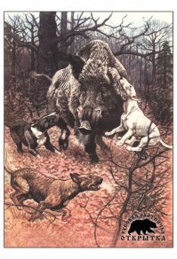 Хорошая собака, которую в дальнейшем стали использовать не по назначению (в боях). А вывели эту породу для охоты. Картинку выложил максимально скромную, в целях уберечь психику эмоционально не стабильных людей.