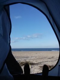 Прикольные и смешные картинки