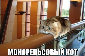 Усатые железнодорожники