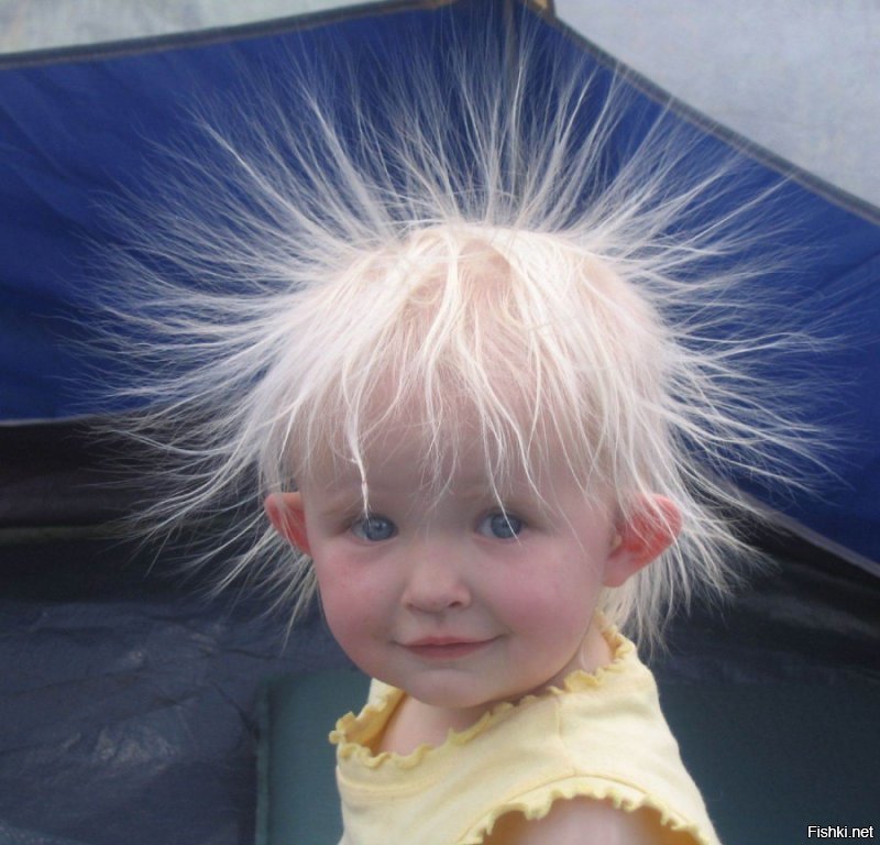 Внимание, электрозаряд: почему волосы на голове электризуются и встают дыбом?